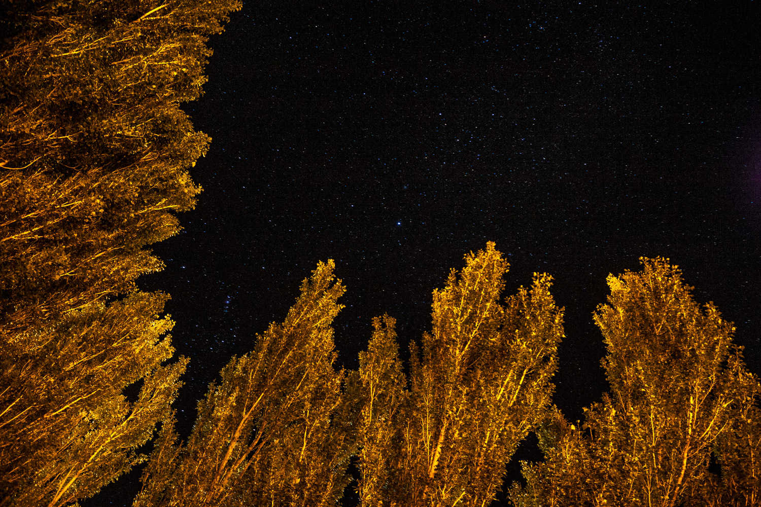 PATAGONIA2011_0202_010344-1298_MVA