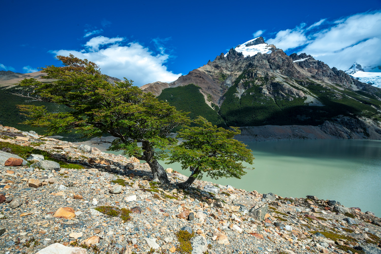 PATAGONIA2011_0205_143716-1595_MVA