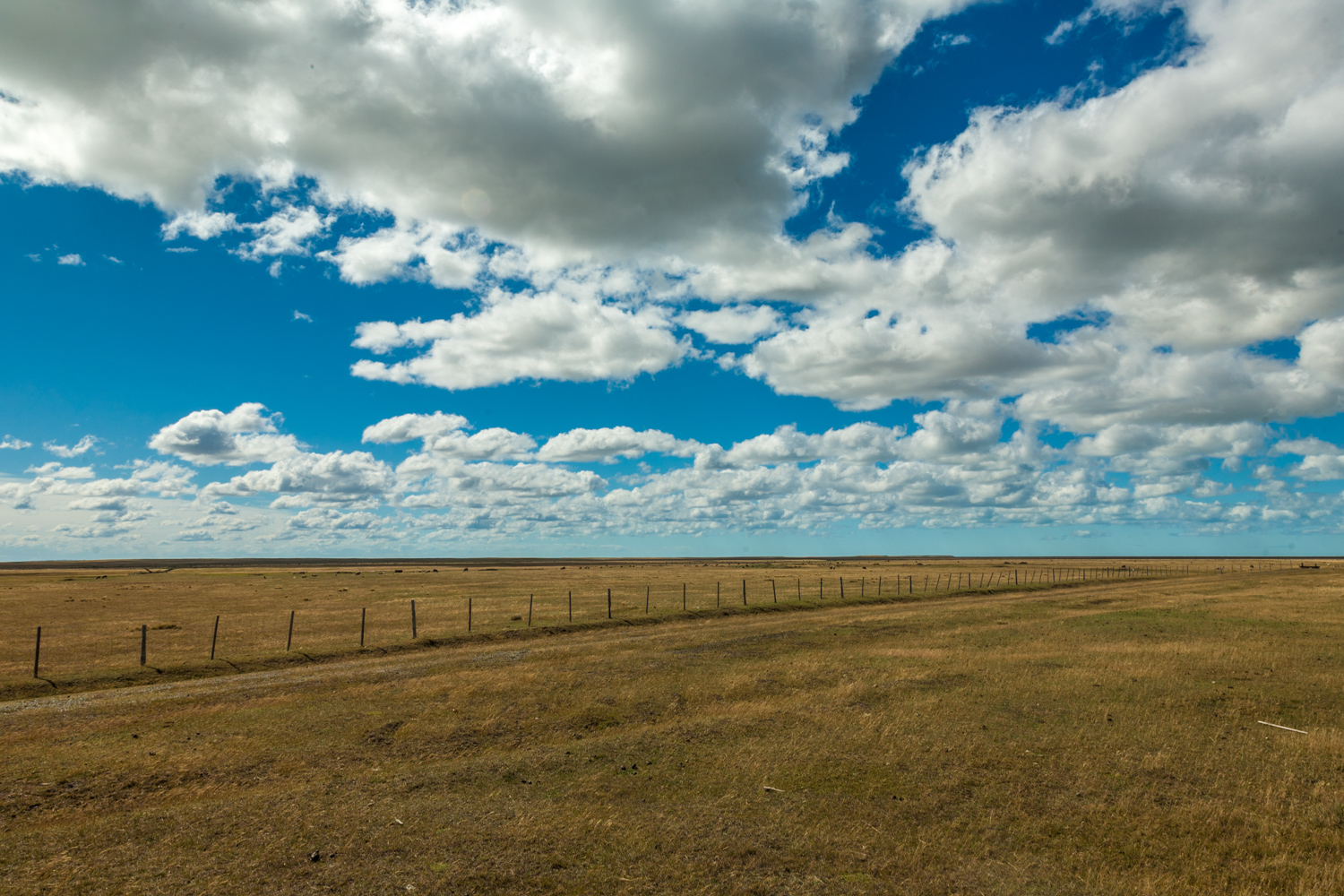 PATAGONIA2011_0213_152017-2426_MVA