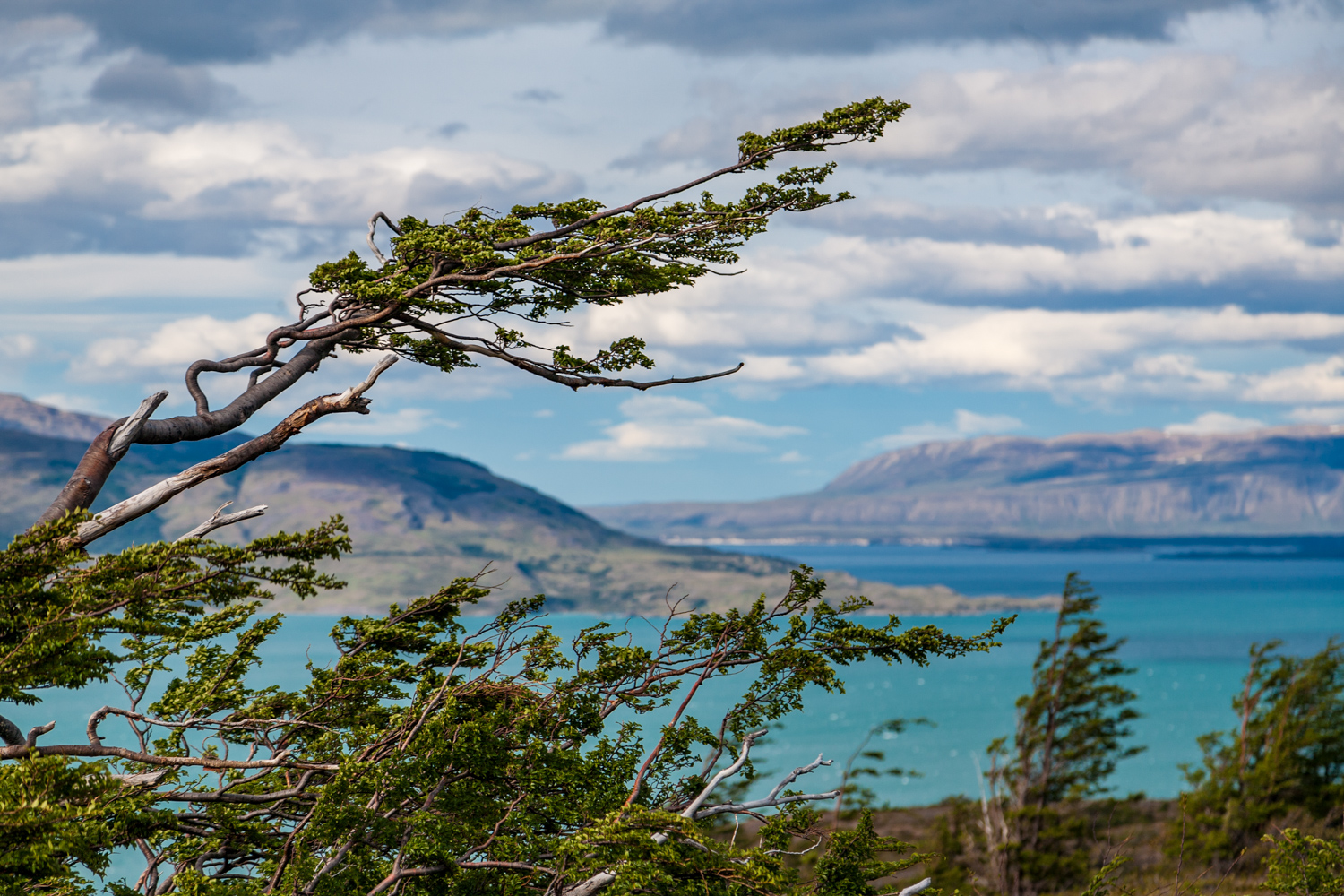 PATAGONIA2011_1103_173757-0775_MVA