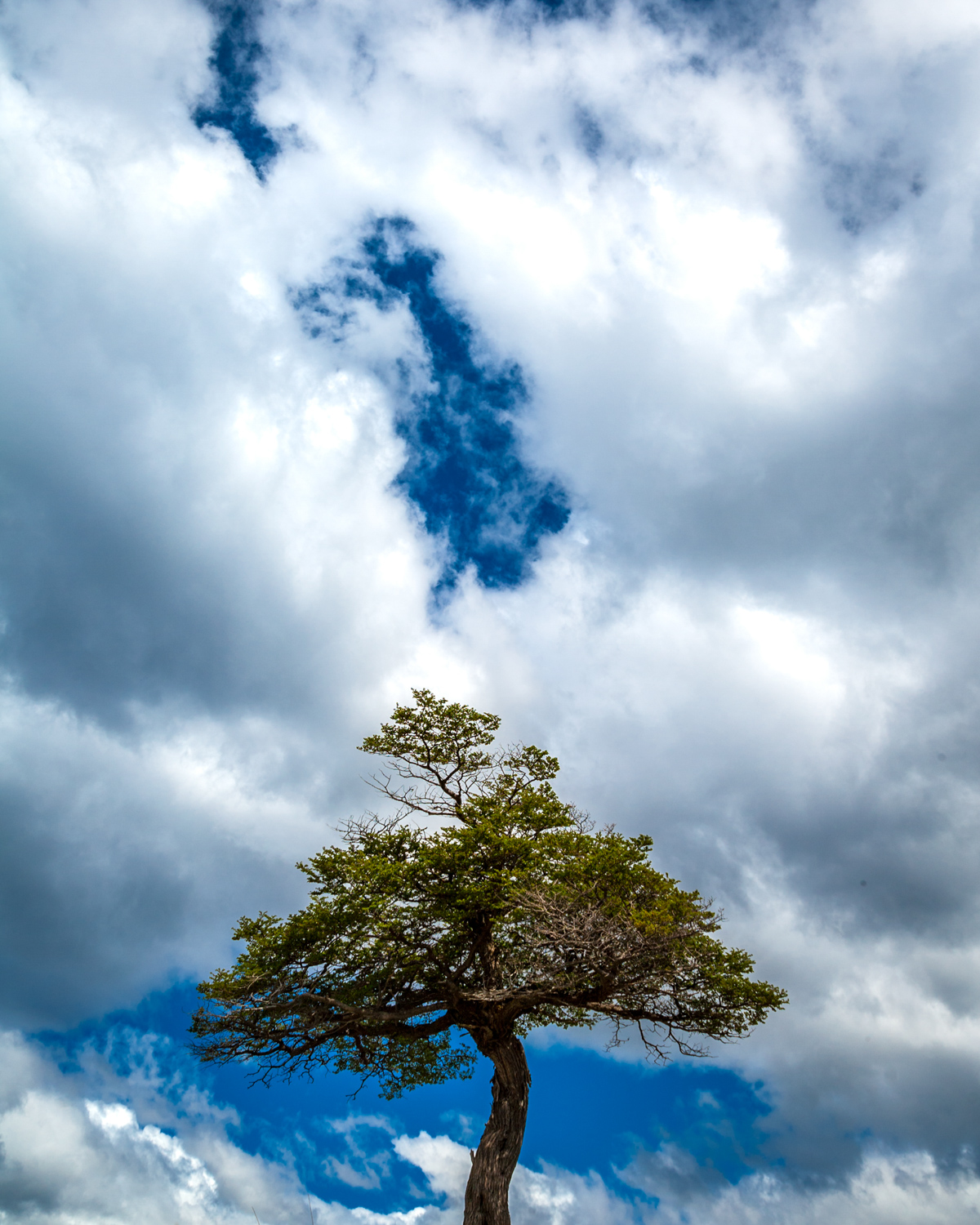 PATAGONIA2011_1106_133813-0986_MVA-2