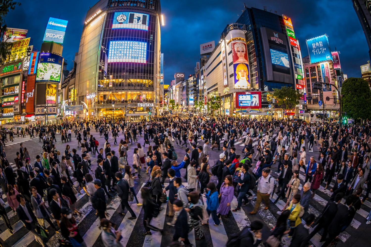 TOKYO2018_0509_034812-9048_MVA 2